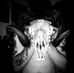William Renegar - Facebook