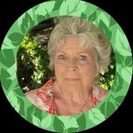 Beverly Williams Renehan - @beverly_williams_renehan__ - Instagram