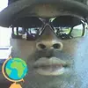 William Greyer - @williamgreyer - TikTok