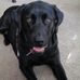 William Reyman - Facebook
