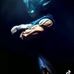William Reynaldo - Facebook