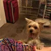 williamreyna121 - @williamreyna121 - TikTok