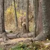 Will Rheaume - @will.rheaume - TikTok