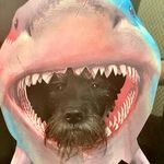 Sir William Rhoton - @therealwilhelminawintour - Instagram