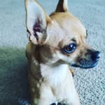 William Rhymes - @william_rhyms - Instagram