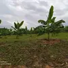 William Riaño - @william.riao5 - TikTok