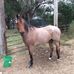 William Ridings - Facebook