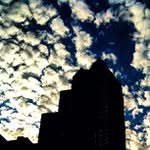 William Riebe - @grimpsonst - Instagram