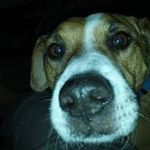 William Rieger - @riegerw - Instagram