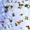William Rieger - @william.rieger - TikTok