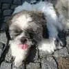 williamrieger89 - @williamrieger89 - TikTok