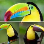 William Riera - @costarica_cesar.guidedtours - Instagram