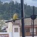 William Reneth Garcia Rincon - Facebook