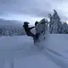 William Ring - @williamring - TikTok