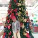 William Rifle Blaza - Facebook