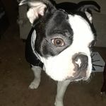 William rishel - @william.rishel - Instagram