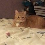 Williamrishel - @williamrishel - Instagram