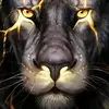 williamapolinaris - @williamapolinaris - TikTok