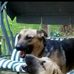 William Rittenhouse - Facebook