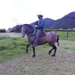 William Riveros Paez - @williamriverospaez - Instagram