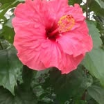 William Rivière - @williamriviere_12 - Instagram
