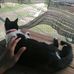 William Roa - Facebook