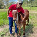 William Roa - @william05roa - Instagram