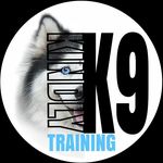 William Roberge - @kindlyk9training - Instagram