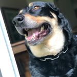 William Robison - @bigwills123 - Instagram