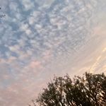 William robison - @willrobison1 - Instagram