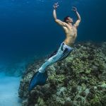 William Roehl - @hawaiianmerman - Instagram