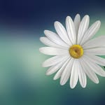 Williams_Romans - @williamsromans79 - Instagram
