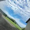 william ross finest - @william.ross.finest4 - TikTok