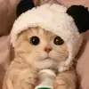 williamross6130 - @ross61305 - TikTok