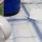William Rossetti - @william.rossetti.545 - Instagram