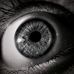 William Rott - Facebook