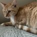 William Roush - Facebook