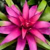Williams Rousseau - @williams_rousseau - TikTok
