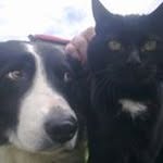 William Rowlands - @wilfrowlands - Instagram