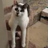 William Rubiera - @tastiestbean - TikTok