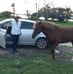 William Rubinoski - Facebook