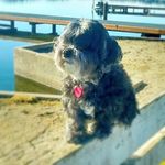 William Ruefenacht - @williamruefenacht - Instagram