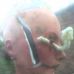 William Rugg - Facebook