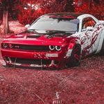 William Rushforth - @rushforthwilliam - Instagram