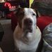 William Ryberg - Facebook