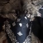 William Rye - @william.henry.rye - Instagram