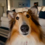 @william_ryes - Instagram