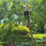 Vincente Williams - @williamsaffordabletreecarellc - Instagram