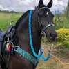 William Salas - @william.salas71 - TikTok