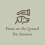 William Salerno - @pawsonthegroundpetservices - Instagram